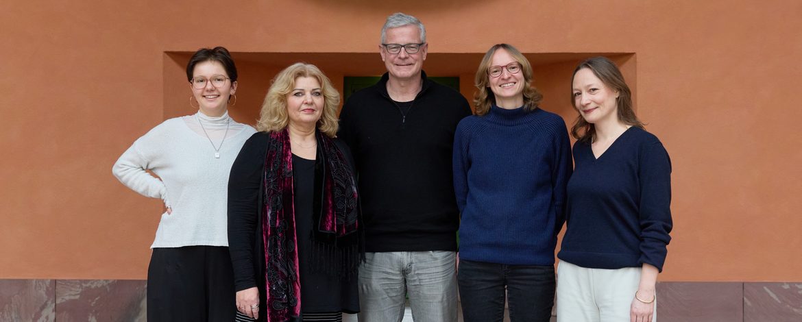 Global Constitutionalism Research Professorship